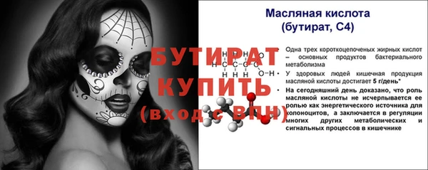 гидра Няндома