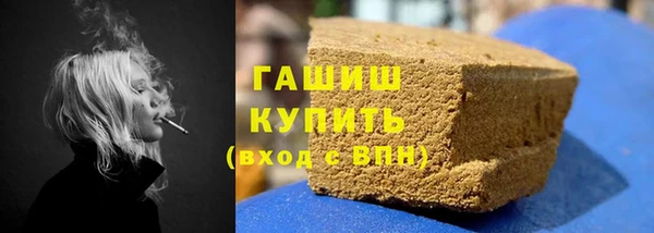 гидра Няндома