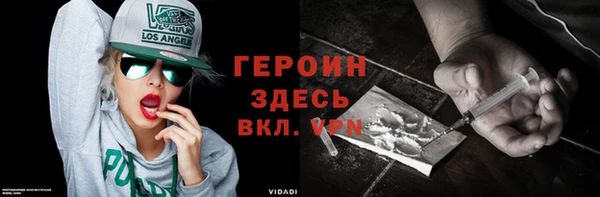 гидра Няндома
