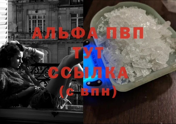 гидра Няндома
