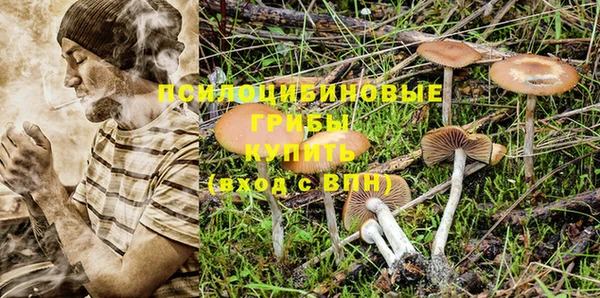 Альфа ПВП Нягань