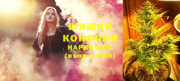гидра Няндома