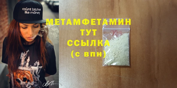 гидра Няндома