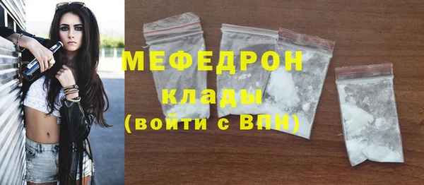 гидра Няндома