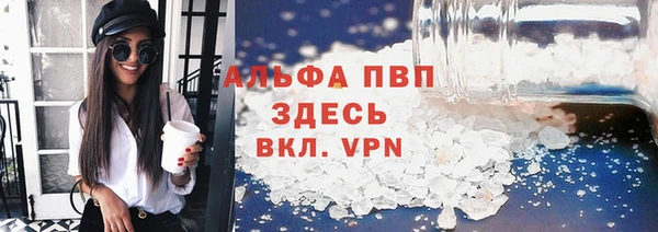 гидра Няндома
