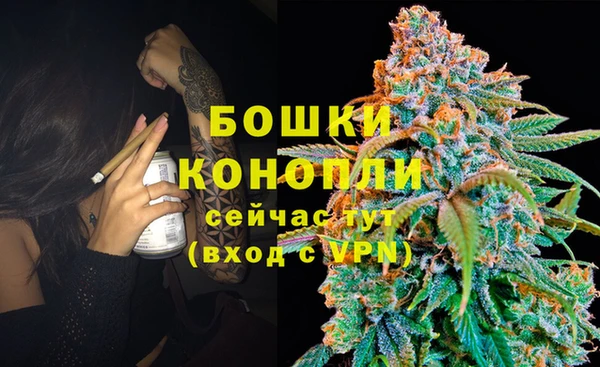 ALPHA-PVP Осинники